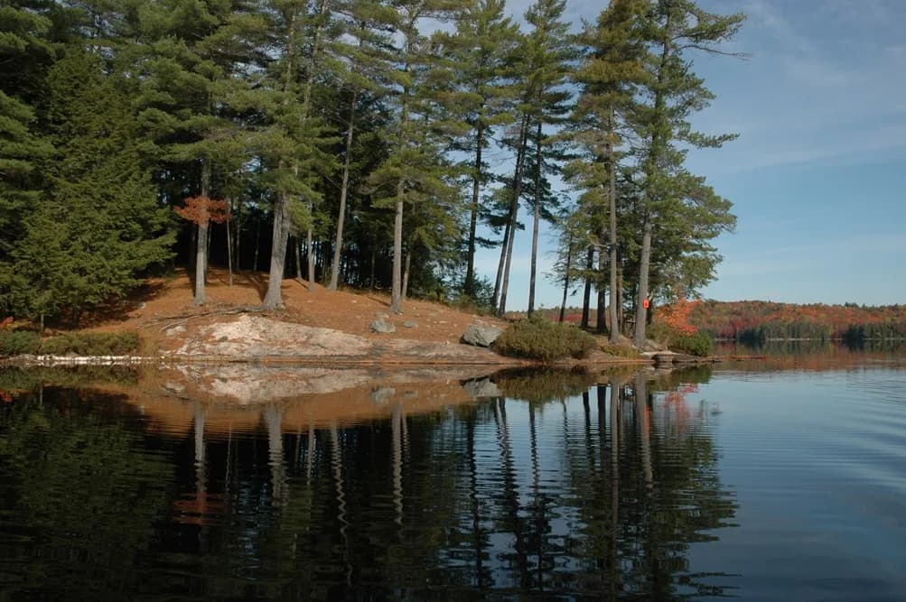 Calm Kawartha lake reflecting a rocky, pine-covered point on a clear autumn day