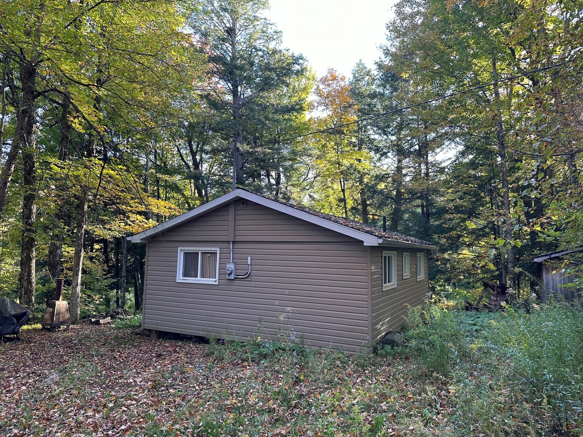 Brown-sided cottage tucked into autumn woods in the Haliburton Highlands