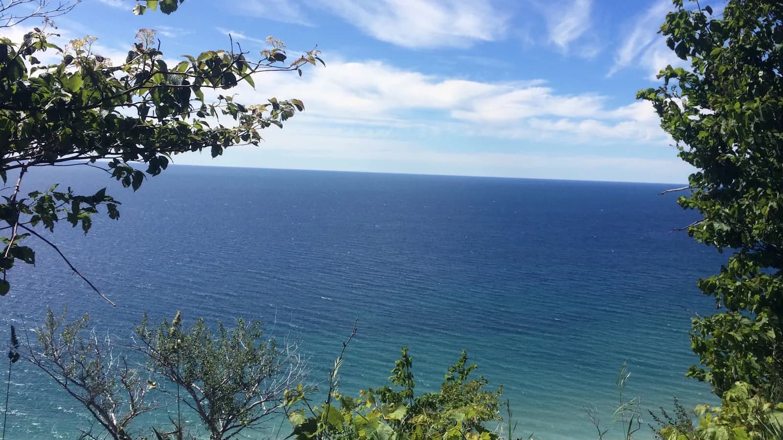 Sea view framed by green plant leaves on a bright day